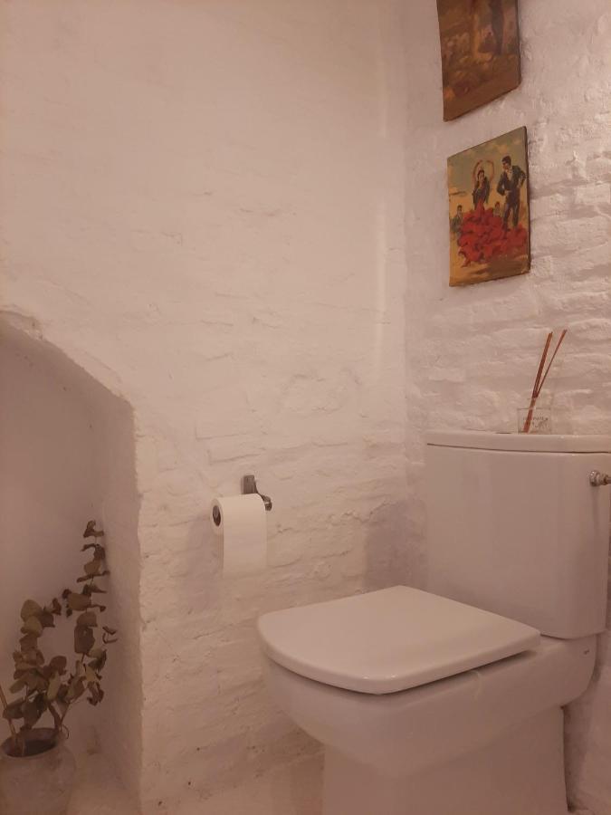 塞维利亚Downtown Loft In A 16Th Century Convent公寓 外观 照片